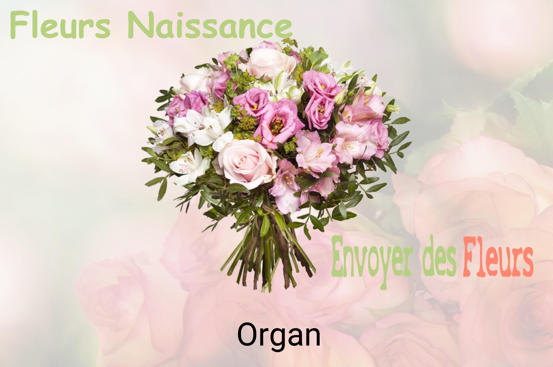 Bouquet de fleurs de naissance livré à Organ