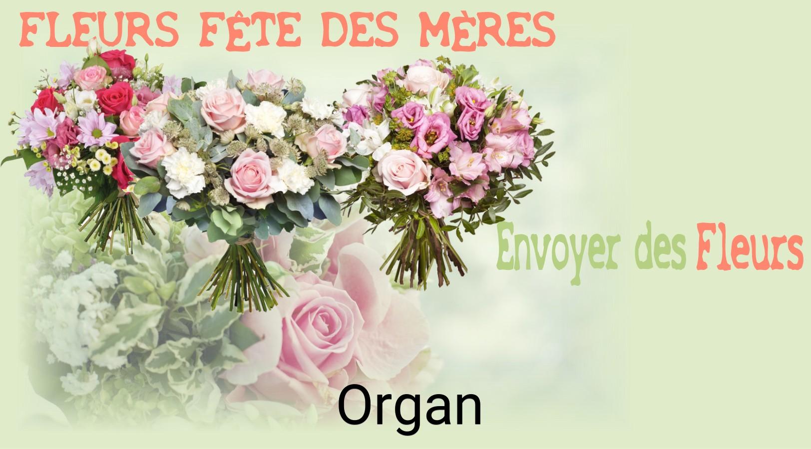 Bouquet de Fête des Mères livré à Organ